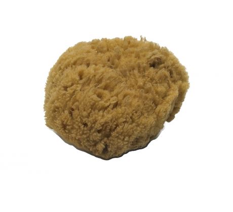 NATURAL SPONGE - Prírodná špongia 1ks